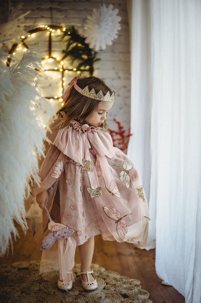 Pink Dragonfly Cape, Crown & Wand